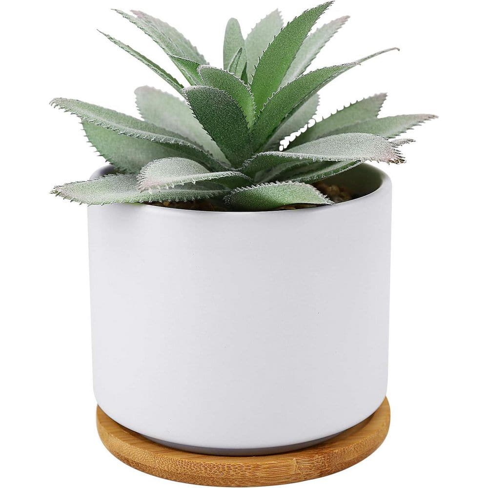4.33 in. 5.9 in. White Indoor Artificial Succulent Plant Faux