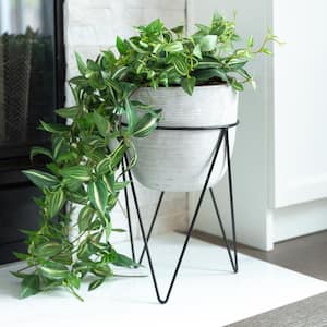12.5 in. H White Cement Concrete Planter on Metal Stand Mid-Century Planter