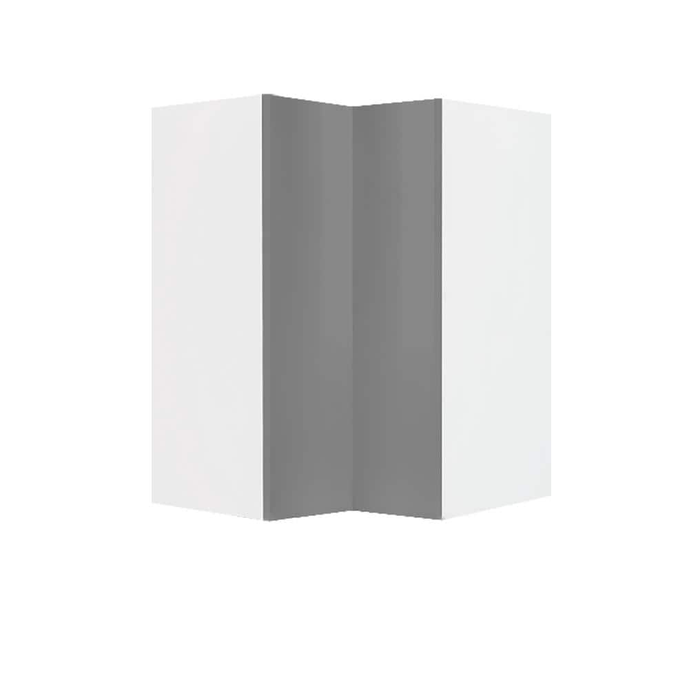 Valencia Assembled 24 in. W x 12 in. D x 30 in. H in Gloss Gray Plywood Assembled Corner Lazy Susan Wall Kitchen Cabinet price history on PriceWatchPro