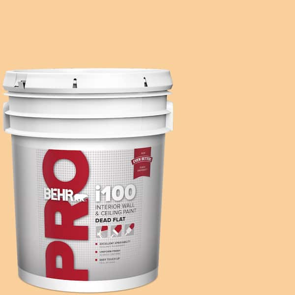 5 gal. #310C-3 Warm Cocoon Dead Flat Interior Paint