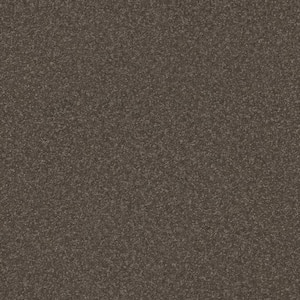 House Party I - Riverbank - Brown 15 ft. 37.4 oz. Polyester Texture Installed Carpet