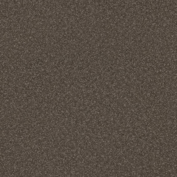 Home Decorators Collection House Party II - Riverbank - Brown 51.5 oz. Polyester Texture Installed Carpet