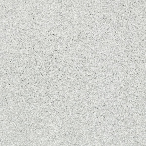 Lifeproof Karma I - Wellington - Brown 41.2 oz. Nylon Texture Installed Carpet