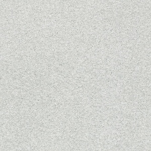 Karma II - Wellington - Brown 50.5 oz. Nylon Texture Installed Carpet