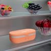 UVI Self Heating Lunch Box with UV Light Sanitizer Salmon