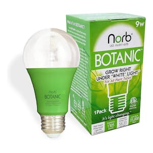 NorbBOTANIC 9W Equivalence A19 3100K Grow Light Bulb (1-Pack)