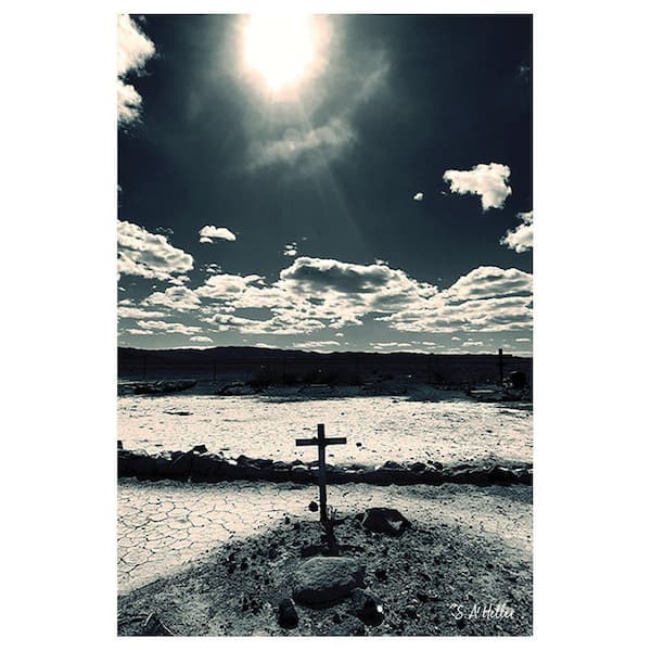 VENICE BEACH Collections Desert Graveyard by Steven A. Heller 1-Piece Unframed Canvas Drawing Print 16 in. x 20 in.