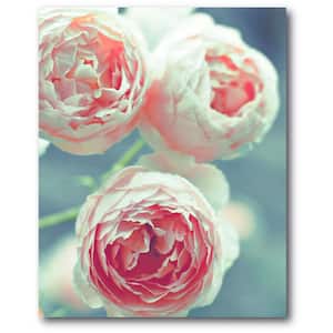 3-Peonies 16 in. x 20 in. Gallery-Wrapped Canvas Wall Art