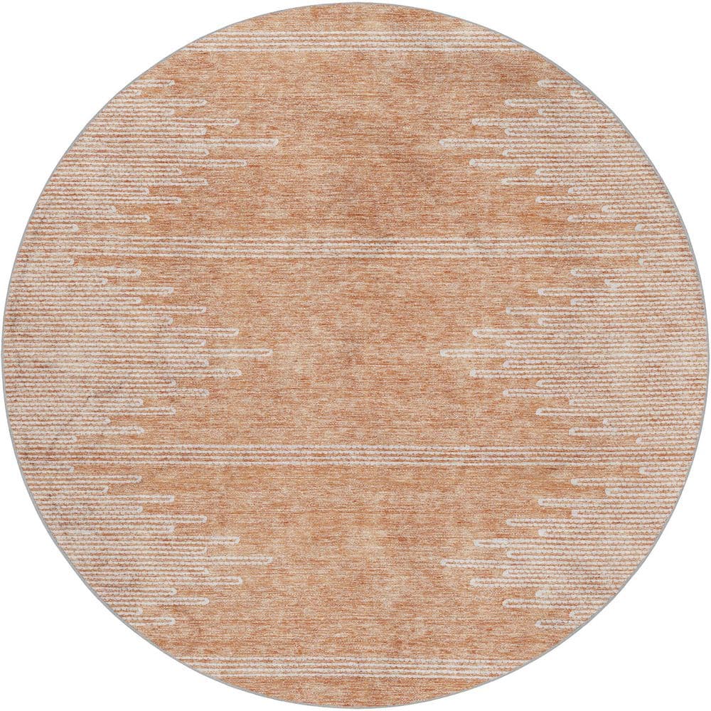 Dream Shag Premium Machine Washable Abstract ADS647 Salmon 8 ft. x 8 ft. Round Rug price history on PriceWatchPro