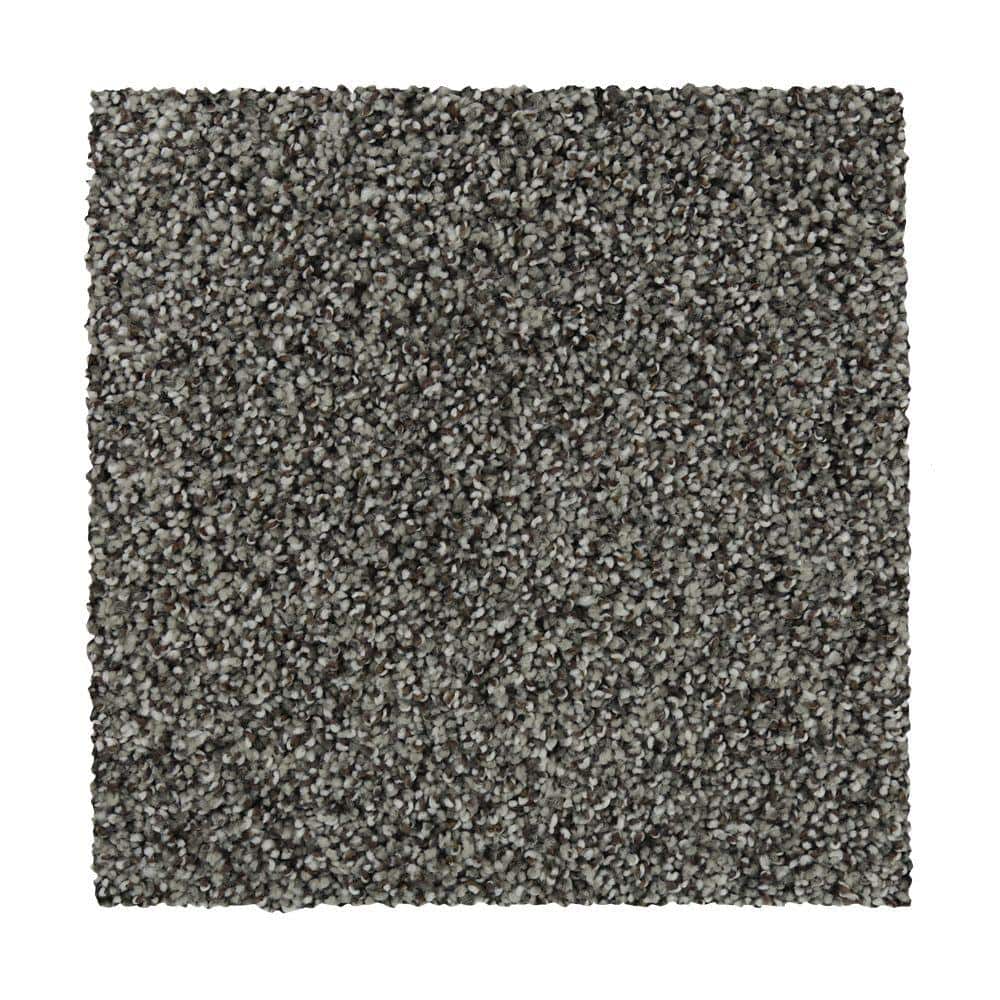 8 in. x 8 in. Texture Carpet Sample - Batesfield - Color Gypsy price history on PriceWatchPro