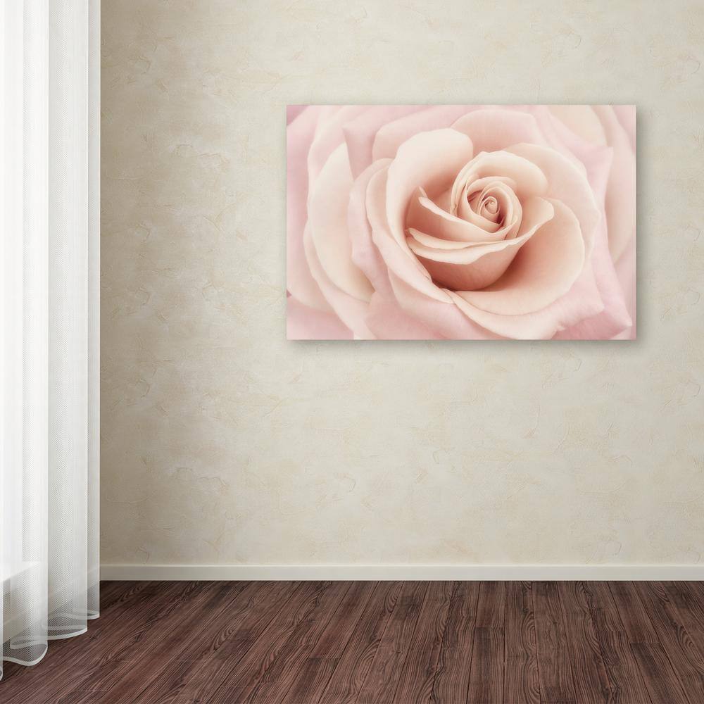Peach Pink Rose Floral Canvas Art in Wooden Frame