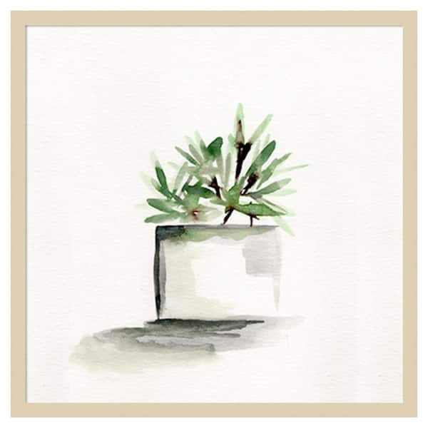Amanti Art Potted Botanicals IV by Marcy Chapman 25 in. W x 25 in. H. Wood Framed Wall Art Print Framed in Brown