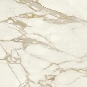 STONEMARK 4 in. x 4 in. Porcelain Countertop Sample in Calacatta ...
