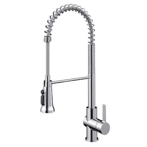 Britt 2-in-1 Commercial Style Pull-Down Single Handle Water Filter Kitchen Faucet in Chrome