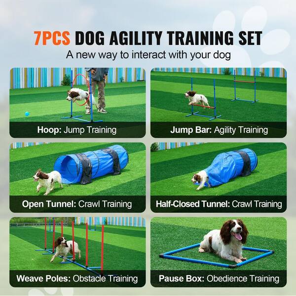 SKYSHALO Dog Agility Training Equipment, PCS Set with Adjustable