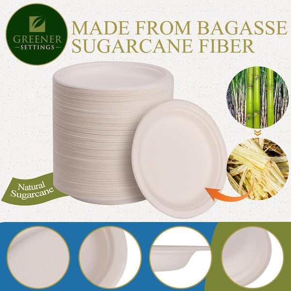 8 Disposable Plates