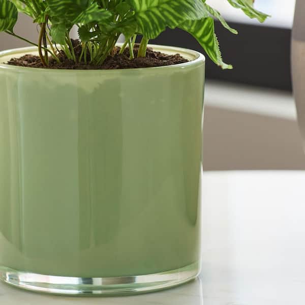 Vigoro Cora Small Green Glass Indoor Round Planter (3.94 in. L x