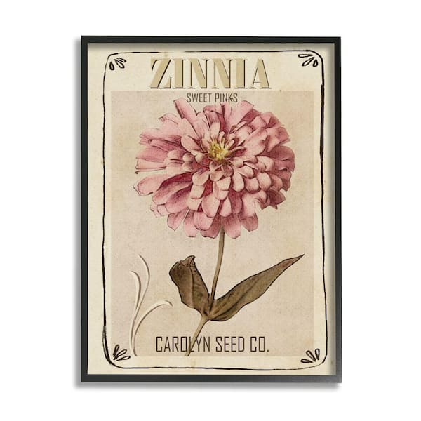 Stupell Industries Sweet Pink Zinnia Florals Vintage Seed Packet By Studio  W Framed Print Nature Texturized Art 11 in. x 14 in. af-463_fr_11x14 - The  Home Depot