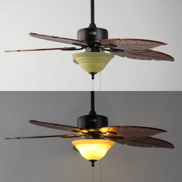 ♡FBHL♡ JONATHAN Y Poinciana 52 in. 3-Light Coastal Bohemian Indoor