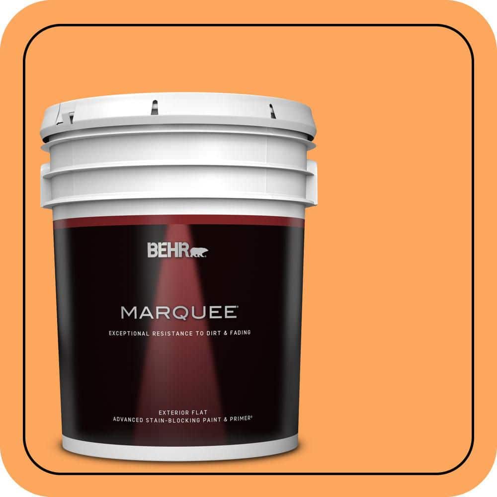 5 gal. #270B-5 Melon Flat Exterior Paint & Primer price history on PriceWatchPro
