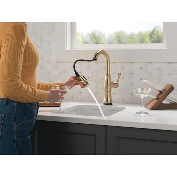 Delta Cassidy Gold Touch2O with Touchless Technology Single Handle
