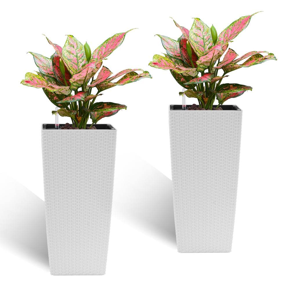 2Pcs 22 Inch High Square Faux Rattan Planter, Self-Watering Design｜Set price history on PriceWatchPro
