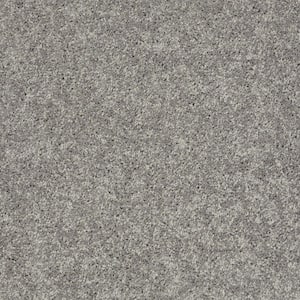 Palmdale I - Harbor Fog - Gray 17.6 oz. Polyester Texture Installed Carpet