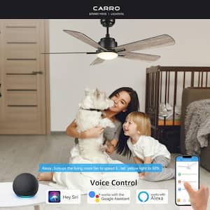 Apex 52 in. Integrated LED Indoor/Outdoor Black Smart Ceiling Fan with Light and Remote, Works with Alexa/Google Home