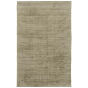 Shiny Oatmeal 4 ft. x 6 ft. Solid Color Area Rug