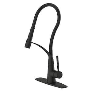 Dupleix Kitchen Pull Down Faucet with Deck Plate in Matte Black