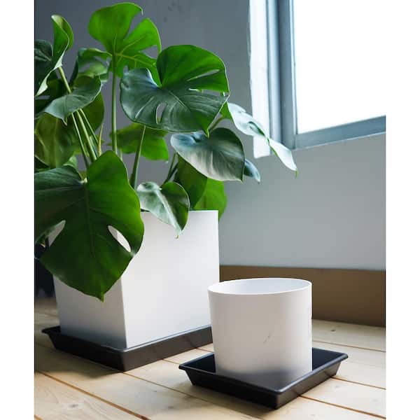 Moathty 14 in. Heavy Duty Plastic Square Plant Saucer, Plant Trays