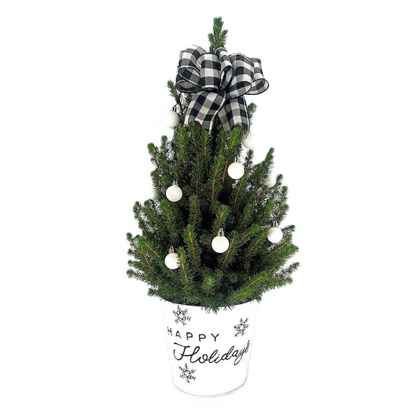 Unbranded 9 in. Holiday Spruce Tree with Plaid Bow, White Ornaments and Decorative Happy Holidays Pot