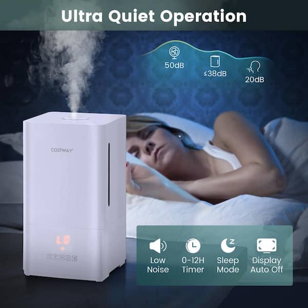 Costway 1 Gal. 4L 250 sq.ft. Ultrasonic Humidifier with 2