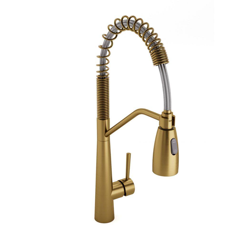 16.5 in Single Handle 360° Swivel Pull Down Sprayer Kitchen Faucet with Advanced Spray in Brushed Gold price history on PriceWatchPro