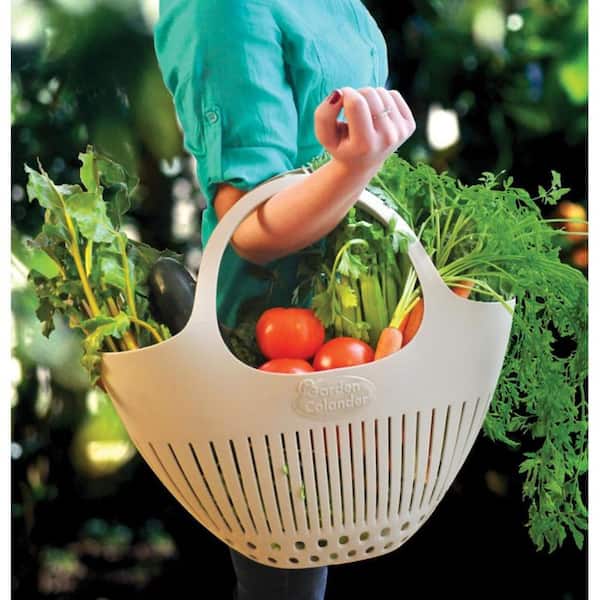 Hutzler Garden Colander Harvest Basket in Green 3780GR - The Home