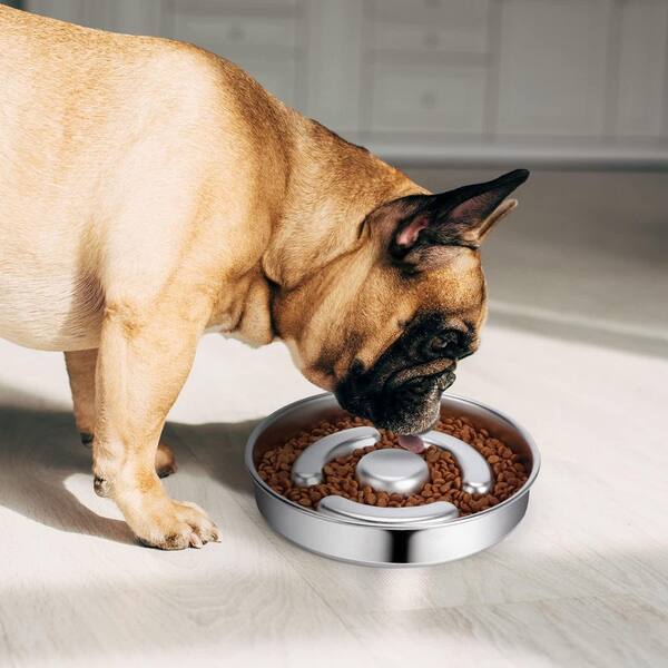 Stainless Steel Slow Feeder Dog Bowl 2 Cups Non-Slip Metal Pet Food Water  Bowl for Small Medium Dogs 763PH01222D - The Home Depot