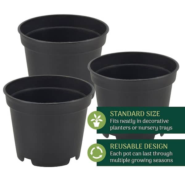 Arcadia Garden Products 2 in. Black Plastic Standard Grow Pot (250