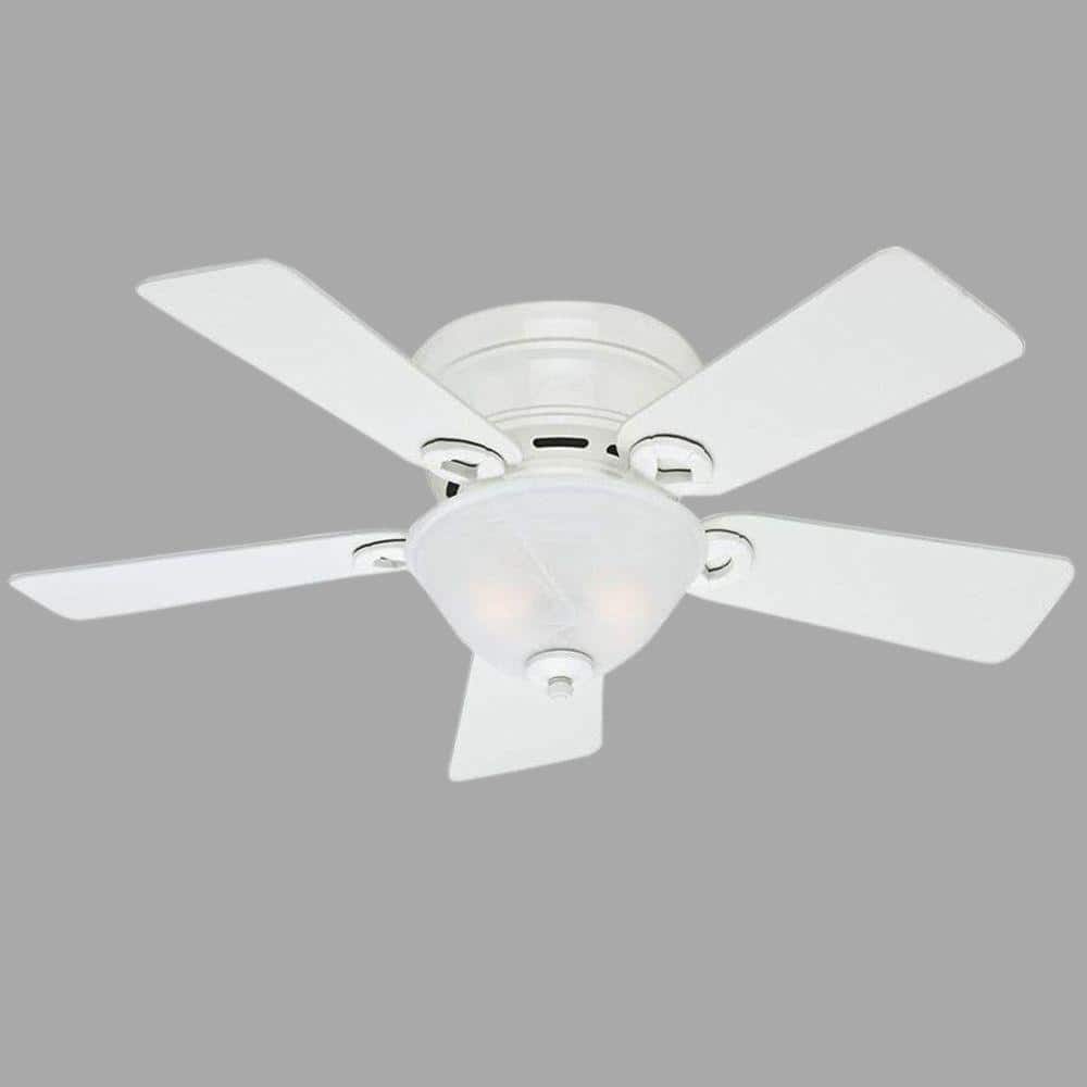 Conroy 42'' Snow White Low Profile Ceiling Fan with LED Light Kit