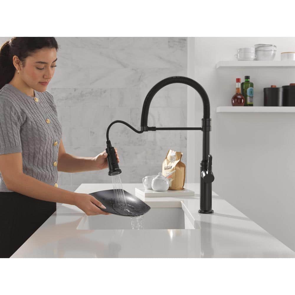 Matte Black Commercial Style Kitchen Faucet with Pull Down Sprayer