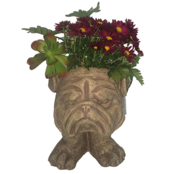 HOMESTYLES 13 in. Stone Wash Bulldog Muggly Planter Statue Holds 4 in. Pot