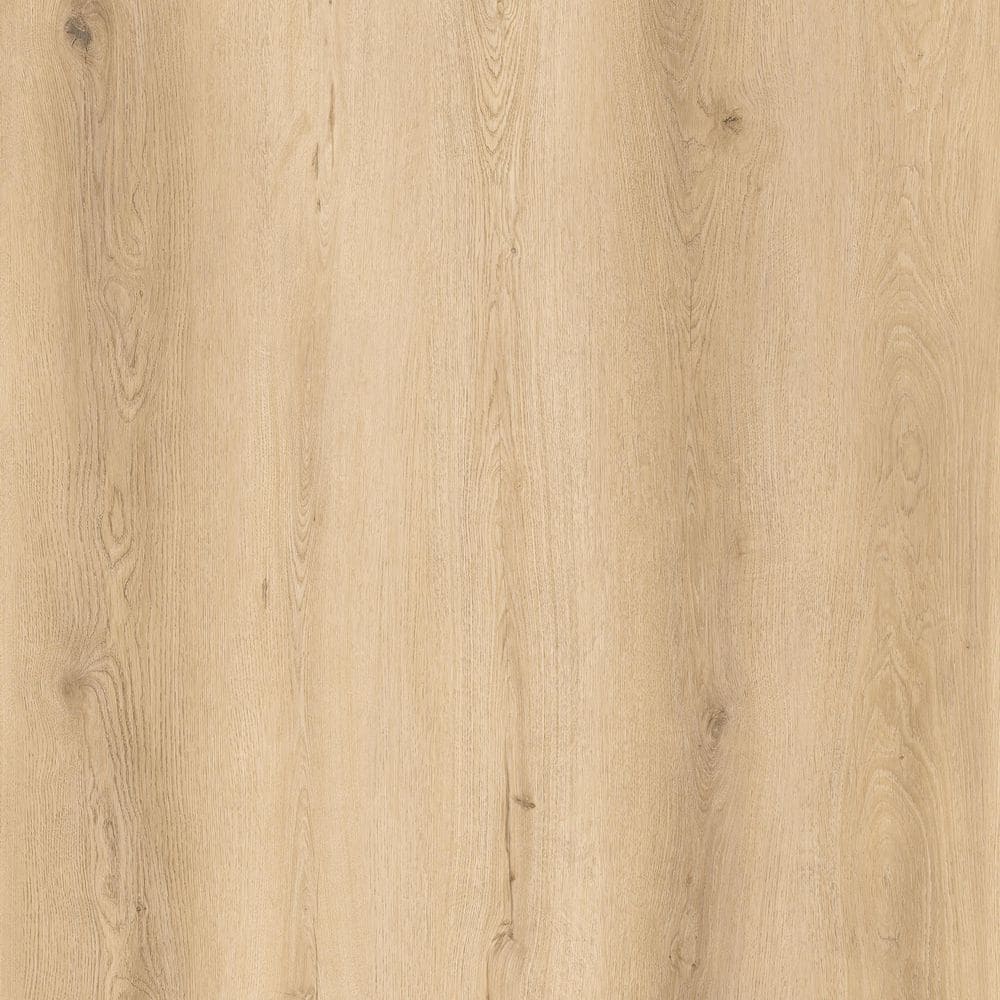 Take Home Sample-Woodhill Oak 22 MIL x 9 in. W x 12. L Click Lock Waterproof Luxury Vinyl Plank Flooring price history on PriceWatchPro