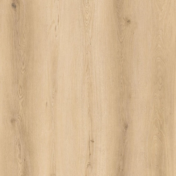 Take Home Sample-Woodhill Oak 22 MIL x 9 in. W x 12. L Click Lock Waterproof Luxury Vinyl Plank Flooring