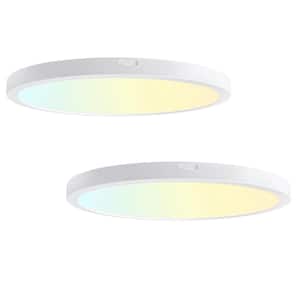 12 in. Round White Integrated LED Flush Mount Light Super Narrow Frame Slim LED Panel Light 5CCT Selectable (2-Pack)