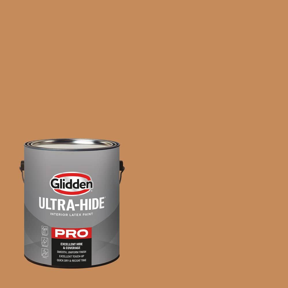 1 gal. PPG16-19 Broomstick Eggshell Interior Paint price history on PriceWatchPro