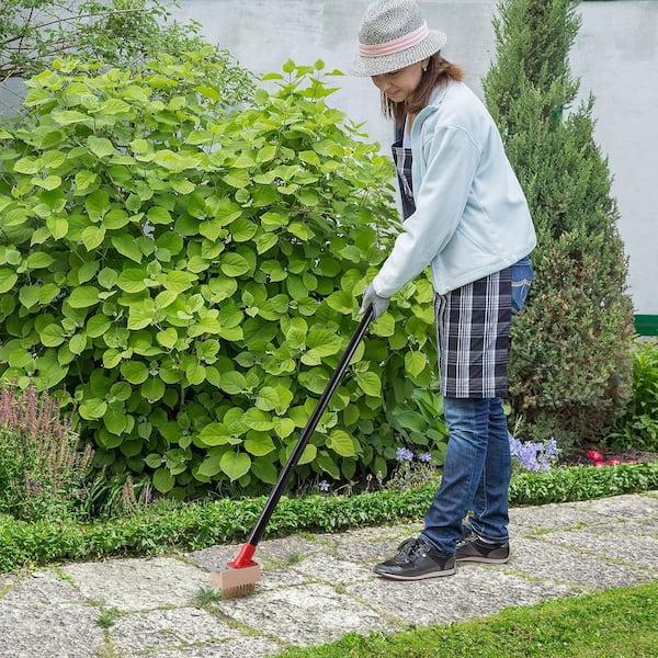 Oyezvary Moss Removal Brush with Long Handle 53 in. Deck Crevice