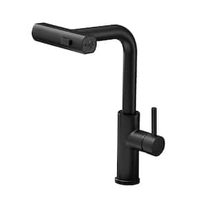 Modern Single Handle Single Hole Pull Out Sprayer Kitchen Faucet Stainless Steel in Matte Black