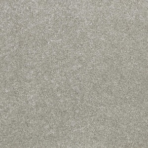 Denfort - Cloudy Day - Gray 70 oz. Triexta Texture Installed Carpet