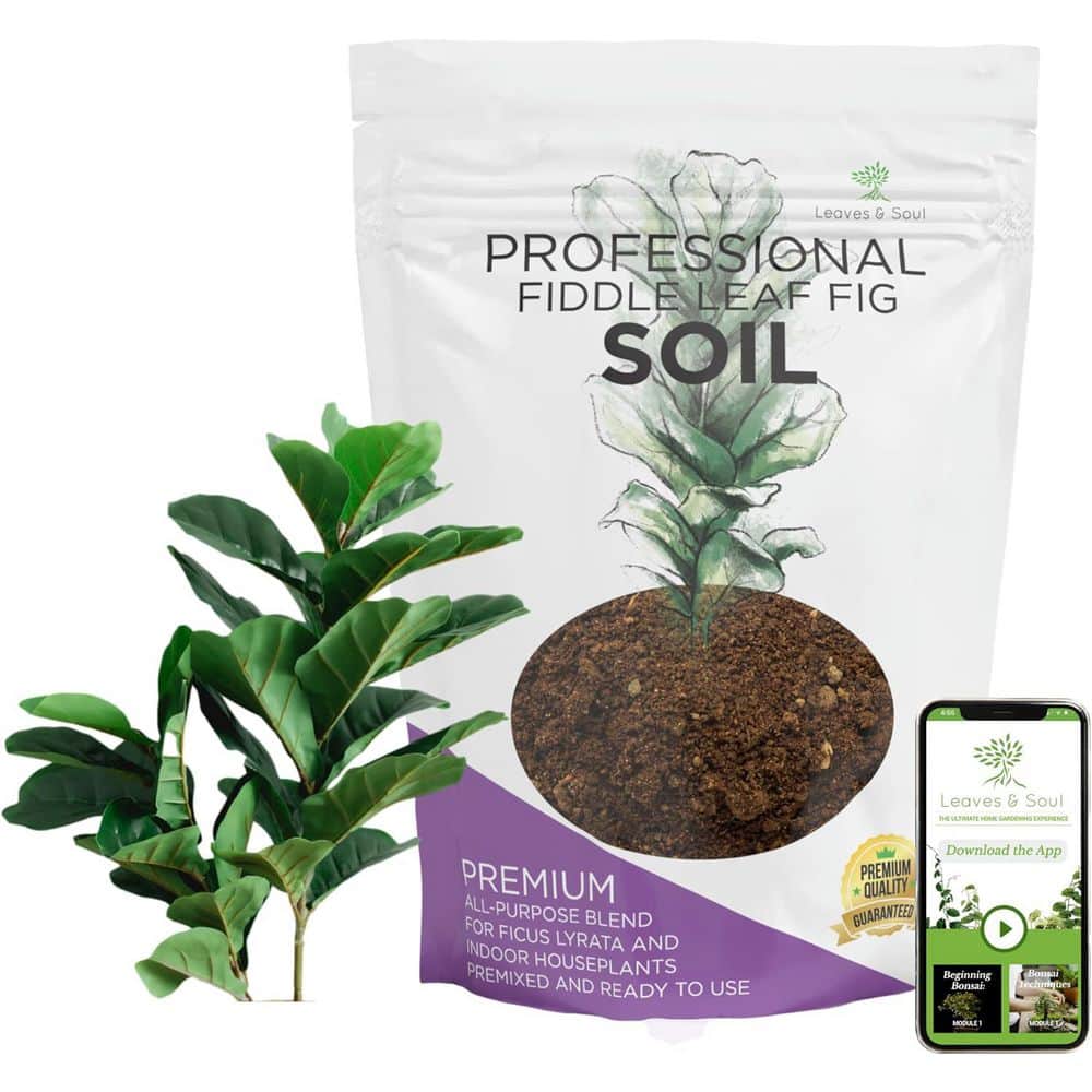 LEAVES AND SOUL Fiddle Leaf Fig Soil, Premium Blend, 2.2 qt., Ready to Use,  Peat, Sawdust, Coarse Sand, Pine Bark, B08P545MG7 - The Home Depot
