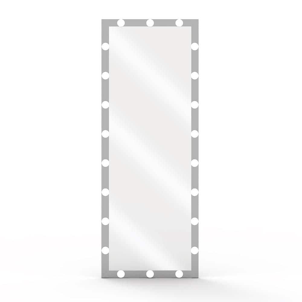 Silver 24 in. W x 63 in. H Modern Rectangle Aluminium Framed Mirror Wall Mi
