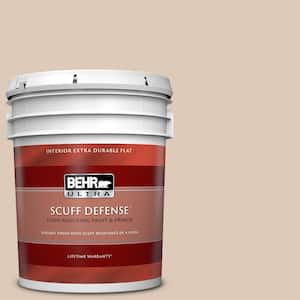 5 gal. #250E-2 Pebbled Courtyard Extra Durable Flat Interior Paint & Primer